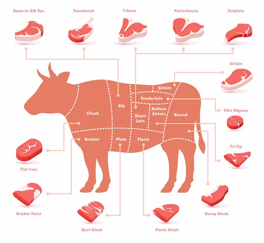 Beef-cut diagram locating the chuck, rib, loin, round, flank, brisket, plate, and shank