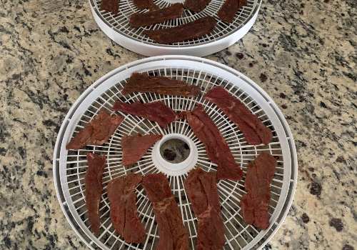 Two dehydrator trays loaded with separated beef strips
