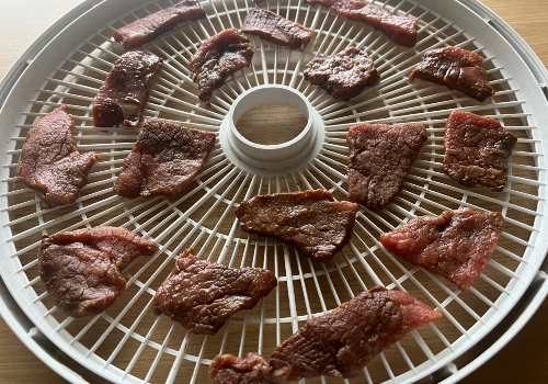 Marinated beef pieces spaced around a dehydrator tray