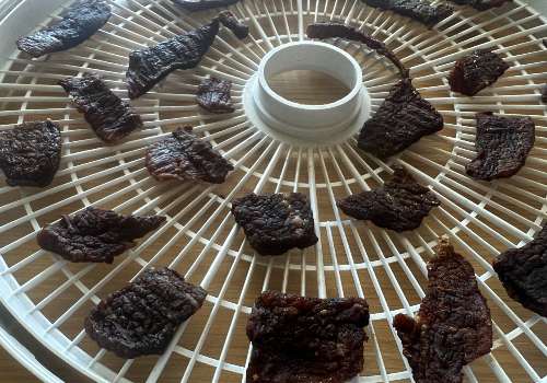 Shrunken, darkened jerky pieces on a dehydrator tray