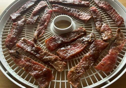 Spicy marinated beef strips arranged on a round dehydrator tray