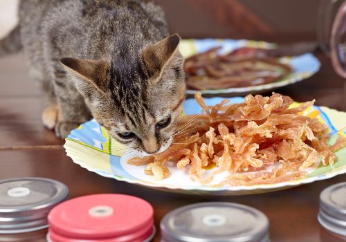 A cat sniffing strips of food on a plate