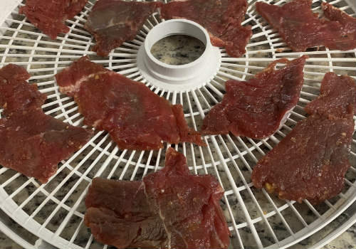 Wide, thin beef slices arranged on a dehydrator tray