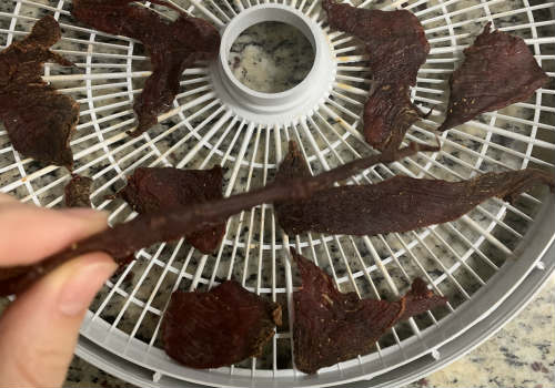 A hand lifting a dark jerky piece from a dehydrator tray