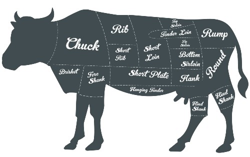 Cattle diagram labeling the chuck, rib, loin, round, flank, plate, brisket, and shank