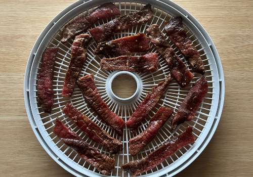 Beef strips spaced around a round dehydrator tray