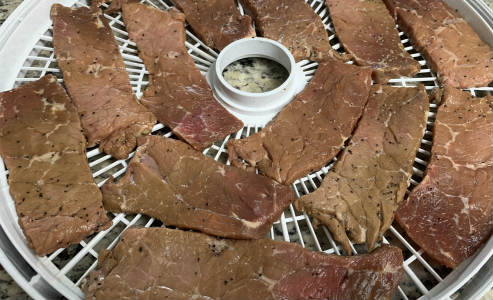 Wide peppered beef slices arranged on a white dehydrator tray