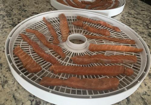 Salmon strips spaced on a round dehydrator tray
