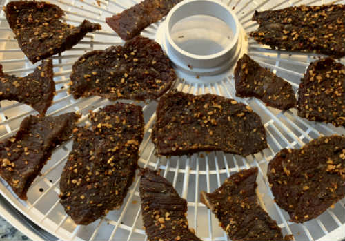 Dark spice-coated jerky pieces on a round dehydrator tray