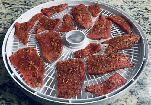 Dry-rubbed beef pieces spaced on a dehydrator tray