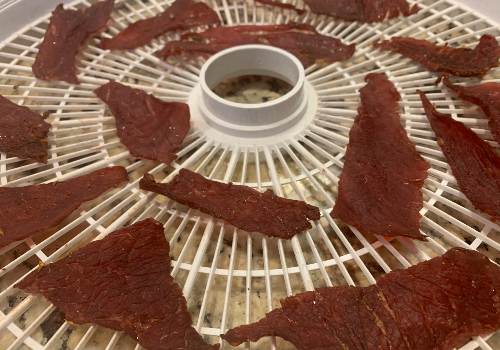 Dried hot-sauce jerky pieces on a white tray