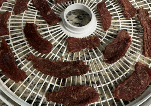 Dried beef jerky on a round dehydrator tray