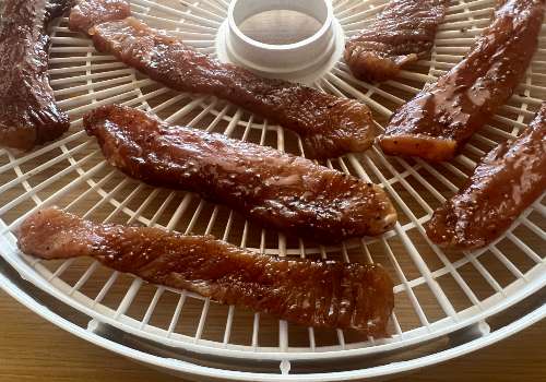 Marinated turkey strips spaced on a dehydrator tray