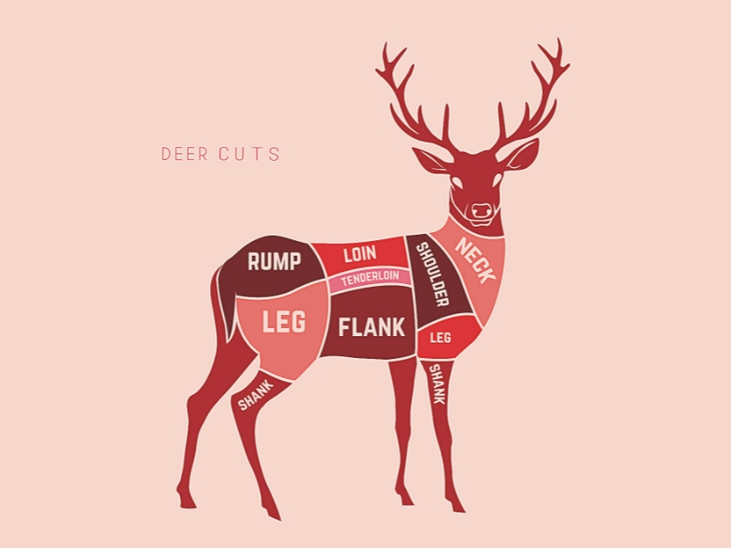 Diagram showing named meat cuts on a deer silhouette